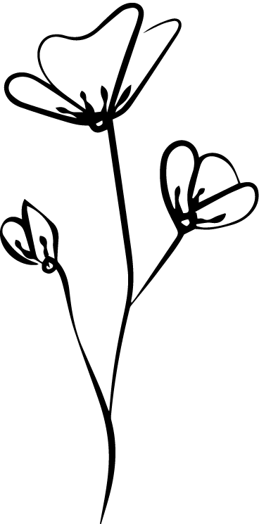 natura (13).png